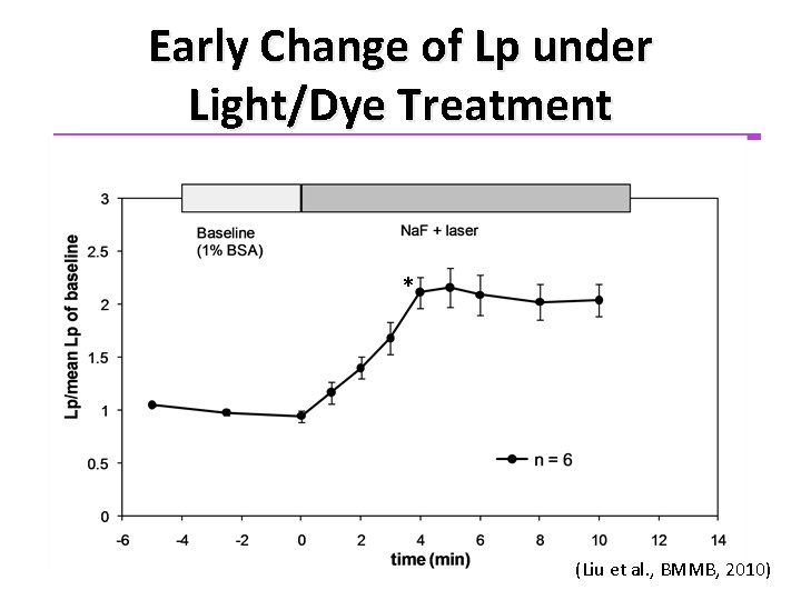 Early Change of Lp under Light/Dye Treatment * (Liu et al. , BMMB, 2010)