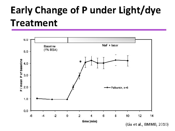 Early Change of P under Light/dye Treatment * (Liu et al. , BMMB, 2010)