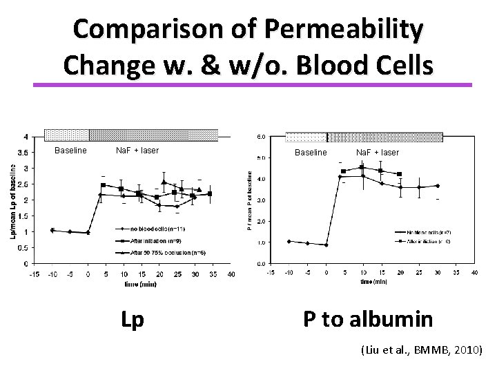 Comparison of Permeability Change w. & w/o. Blood Cells Baseline Na. F + laser