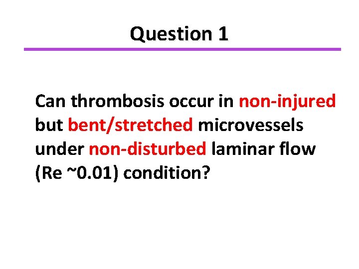 Question 1 Can thrombosis occur in non-injured but bent/stretched microvessels under non-disturbed laminar flow