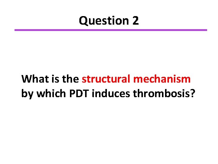 Question 2 What is the structural mechanism by which PDT induces thrombosis? 