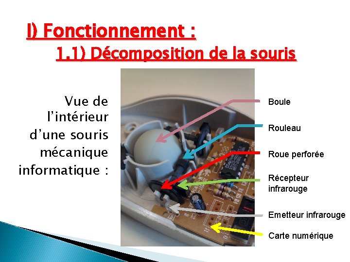 I) Fonctionnement : 1. 1) Décomposition de la souris Vue de l’intérieur d’une souris