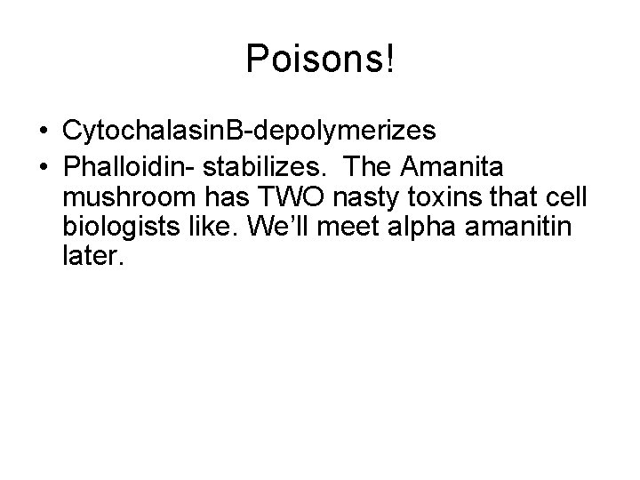 Poisons! • Cytochalasin. B-depolymerizes • Phalloidin- stabilizes. The Amanita mushroom has TWO nasty toxins