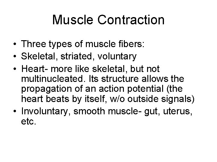 Muscle Contraction • Three types of muscle fibers: • Skeletal, striated, voluntary • Heart-