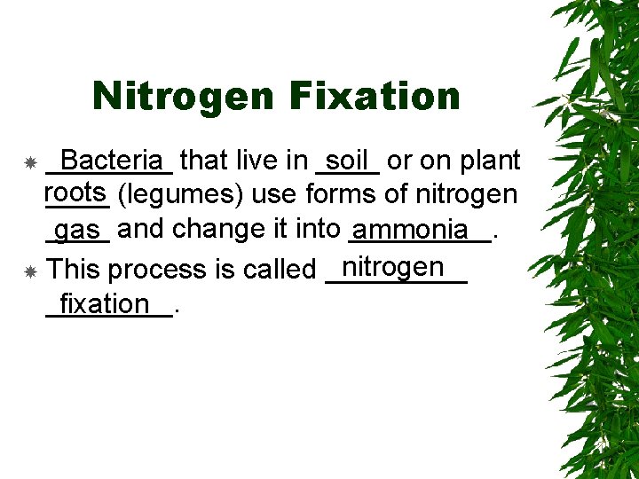 Nitrogen Fixation ____ that live in ____ or on plant Bacteria soil roots ____