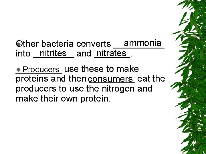 ammonia Other bacteria converts _____ nitrites nitrates into ____ and _______. _____ use these