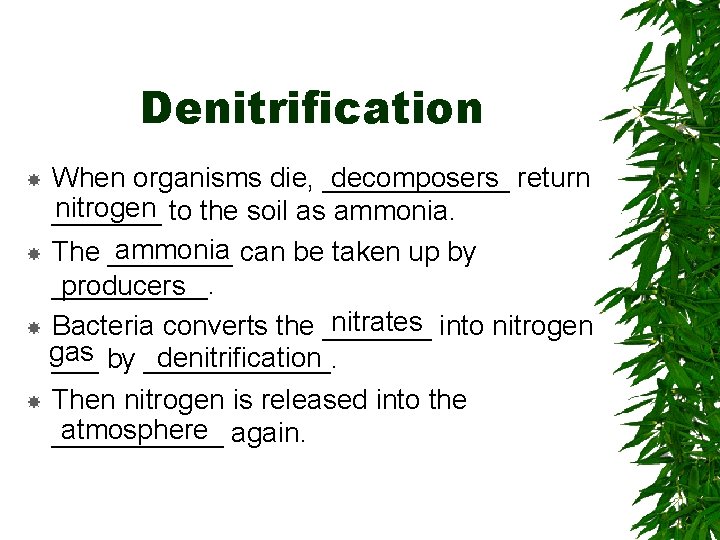 Denitrification When organisms die, ______ return decomposers nitrogen _______ to the soil as ammonia