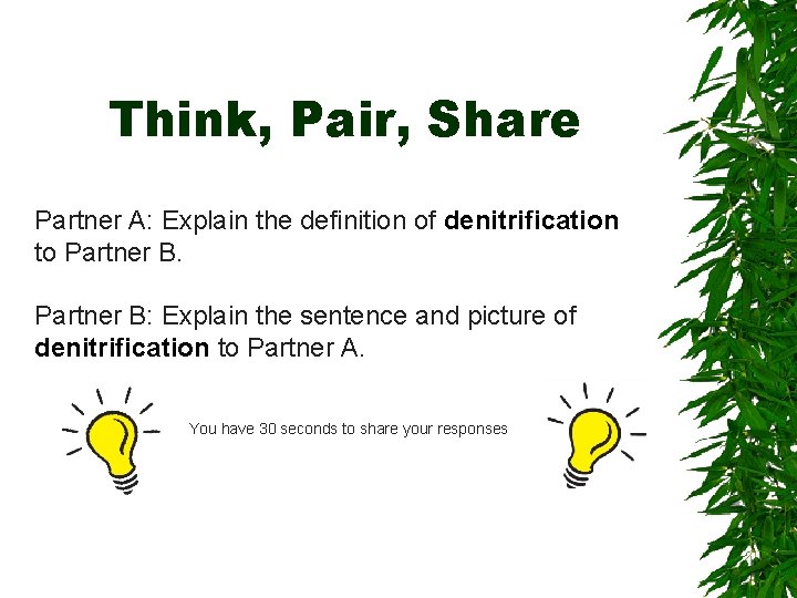 Think, Pair, Share Partner A: Explain the definition of denitrification to Partner B: Explain