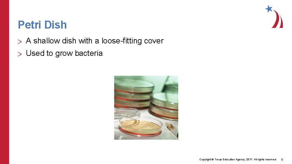 Petri Dish > A shallow dish with a loose-fitting cover > Used to grow