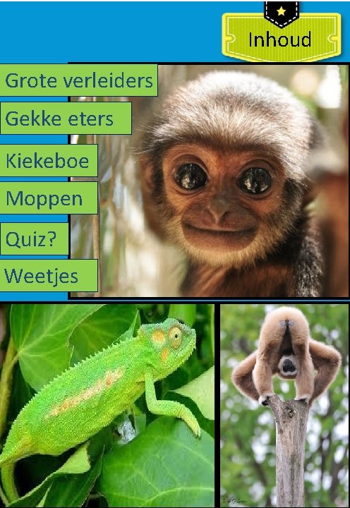 Inhoud Grote verleiders Gekke eters Kiekeboe Moppen Quiz? Weetjes 