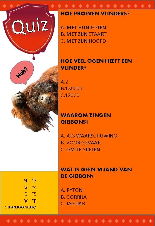 Quiz h u H ? HOE PROEVEN VLINDERS? A. MET HUN POTEN B. MET