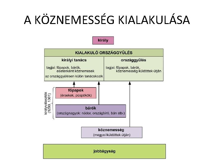 A KÖZNEMESSÉG KIALAKULÁSA 