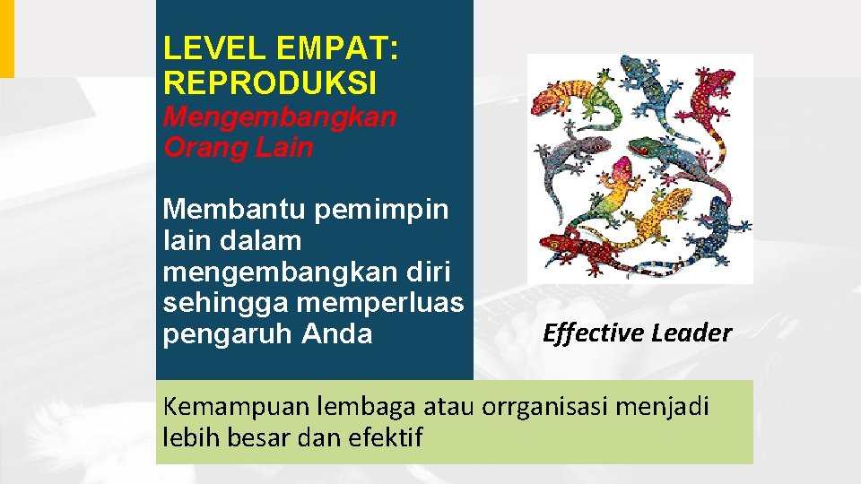LEVEL EMPAT: REPRODUKSI Mengembangkan Orang Lain Membantu pemimpin lain dalam mengembangkan diri sehingga memperluas