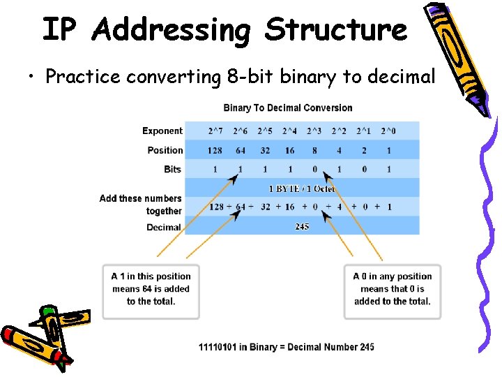 IP Addressing Structure • Practice converting 8 -bit binary to decimal 