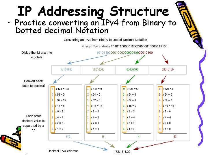 IP Addressing Structure • Practice converting an IPv 4 from Binary to Dotted decimal