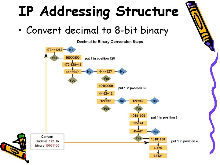 IP Addressing Structure • Convert decimal to 8 -bit binary 