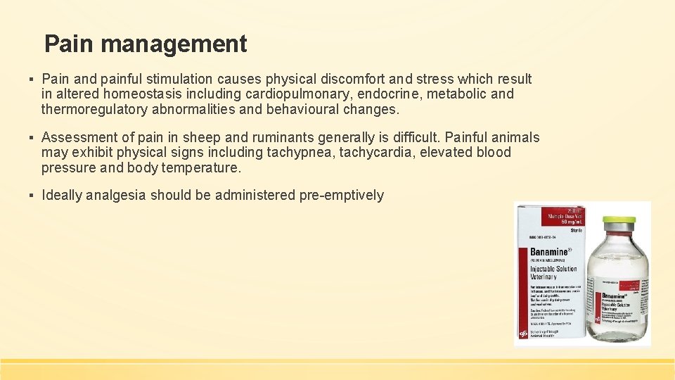 Pain management ▪ Pain and painful stimulation causes physical discomfort and stress which result