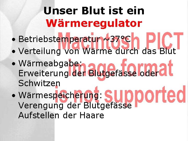 Unser Blut ist ein Wärmeregulator • Betriebstemperatur ~37°C • Verteilung von Wärme durch das