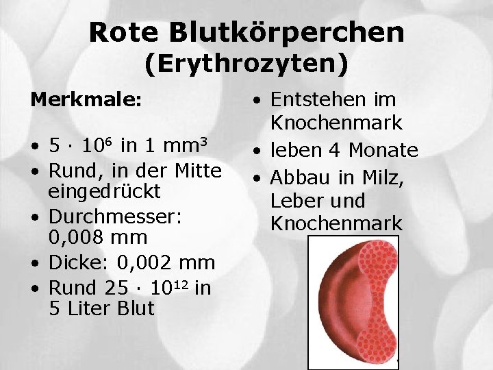 Rote Blutkörperchen (Erythrozyten) Merkmale: • 5 · 106 in 1 mm 3 • Rund,