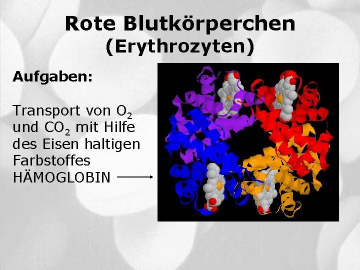 Rote Blutkörperchen (Erythrozyten) Aufgaben: Transport von O 2 und CO 2 mit Hilfe des