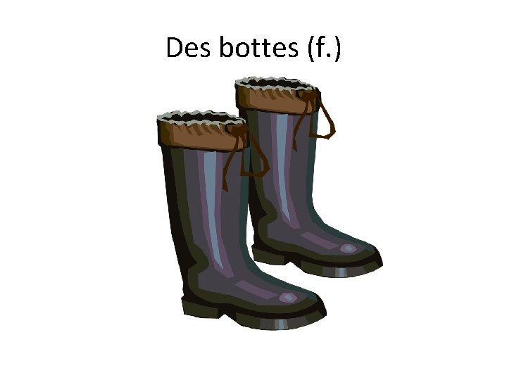 Des bottes (f. ) 