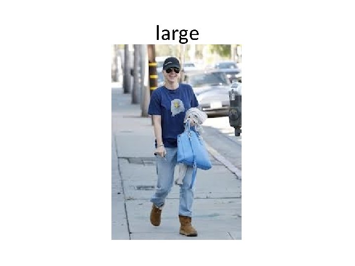 large 