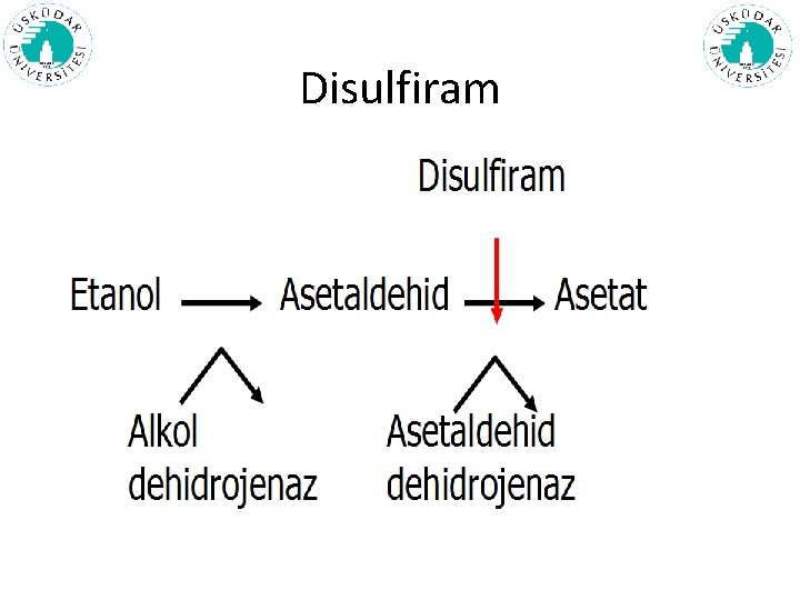 Disulfiram 