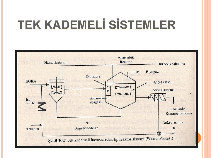 TEK KADEMELİ SİSTEMLER 