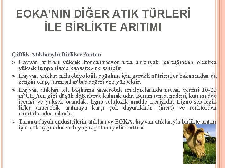 EOKA’NIN DİĞER ATIK TÜRLERİ İLE BİRLİKTE ARITIMI Çiftlik Atıklarıyla Birlikte Arıtım Ø Hayvan atıkları