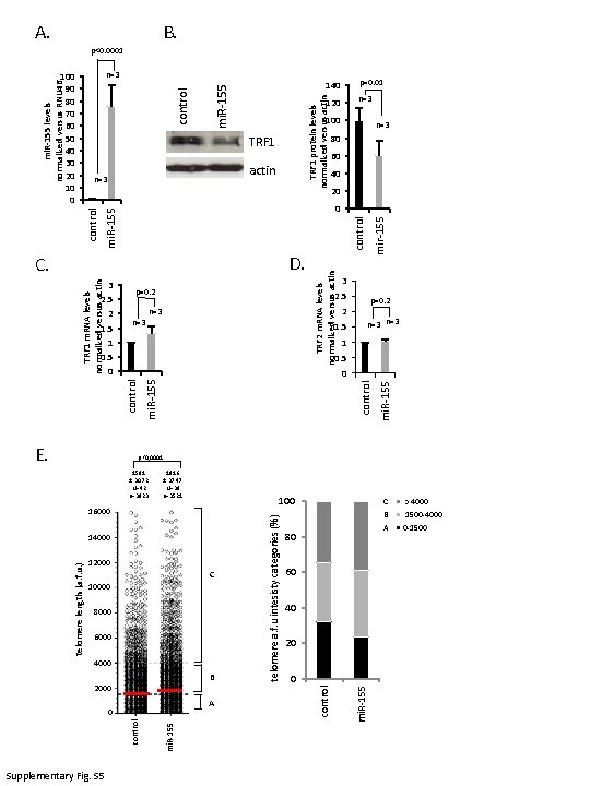 1591 ± 30. 72 N=42 n=3823 Supplementary Fig. S 5 1916 ± 37. 47