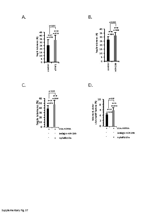 A. B. p=0, 003 p= 0, 03 fragile telomeres (%) N=17 n=1370 N=40 n=3084