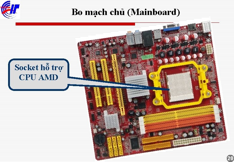 Bo mạch chủ (Mainboard) Socket hỗ trợ CPU AMD 20 