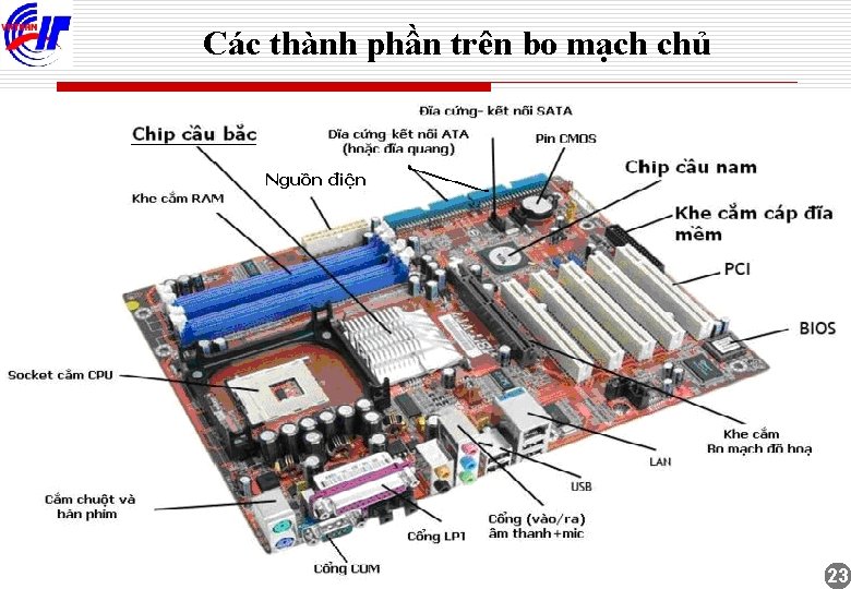 Các thành phần trên bo mạch chủ 23 