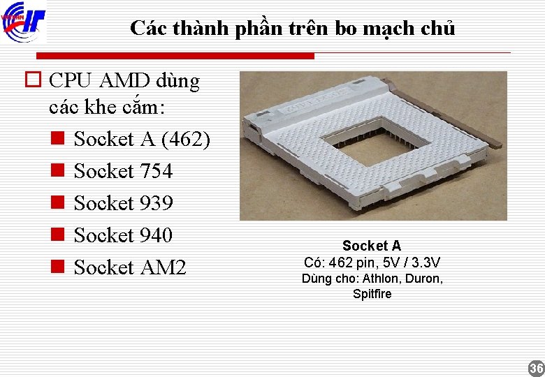 Các thành phần trên bo mạch chủ o CPU AMD dùng các khe cắm: