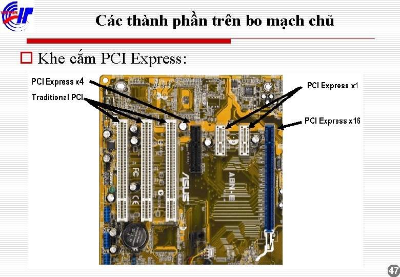 Các thành phần trên bo mạch chủ o Khe cắm PCI Express: 47 