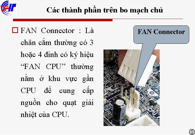 Các thành phần trên bo mạch chủ o FAN Connector : Là chân cắm