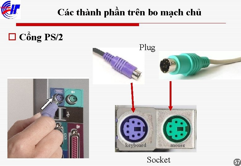 Các thành phần trên bo mạch chủ o Cổng PS/2 Plug keyboard mouse Socket