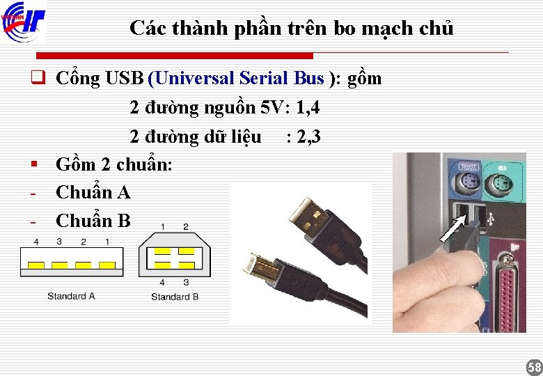 Các thành phần trên bo mạch chủ q Cổng USB (Universal Serial Bus ):