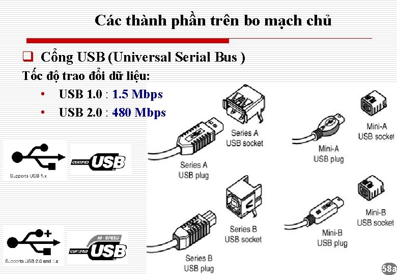 Các thành phần trên bo mạch chủ q Cổng USB (Universal Serial Bus )