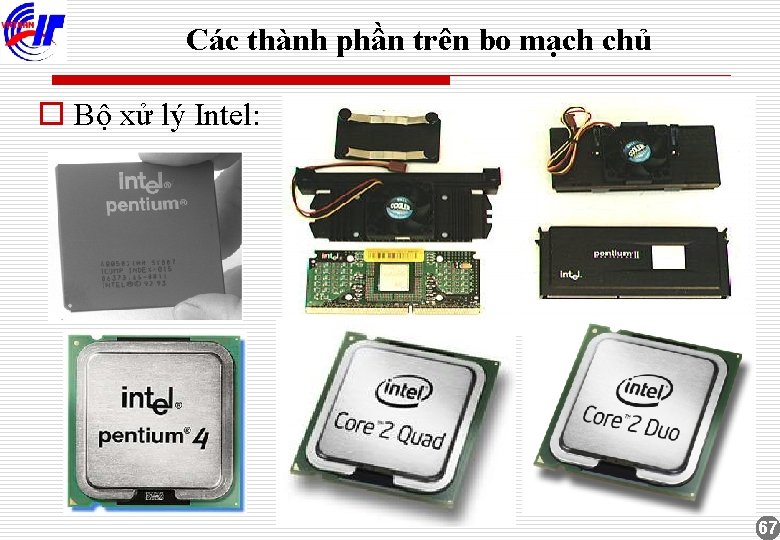 Các thành phần trên bo mạch chủ o Bộ xử lý Intel: 67 