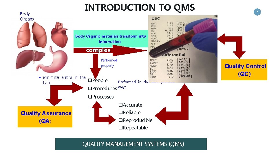 INTRODUCTION TO QMS Body Organs 4 FEEDBACK Body Organic materials transform into information complex