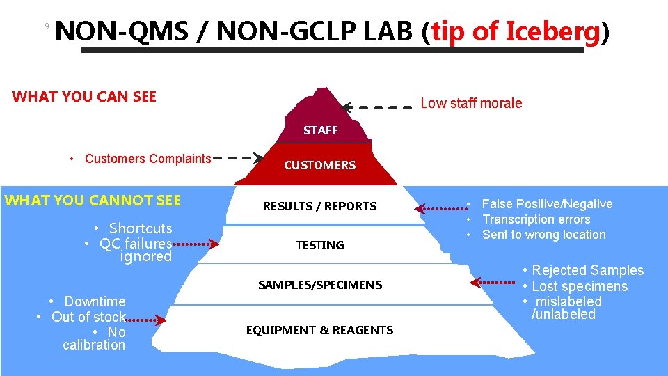 9 NON-QMS / NON-GCLP LAB (tip of Iceberg) WHAT YOU CAN SEE Low staff