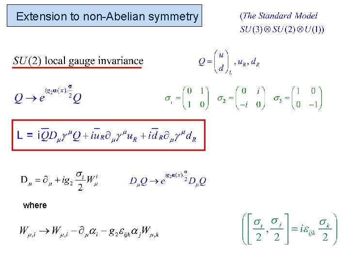 Extension to non-Abelian symmetry where 