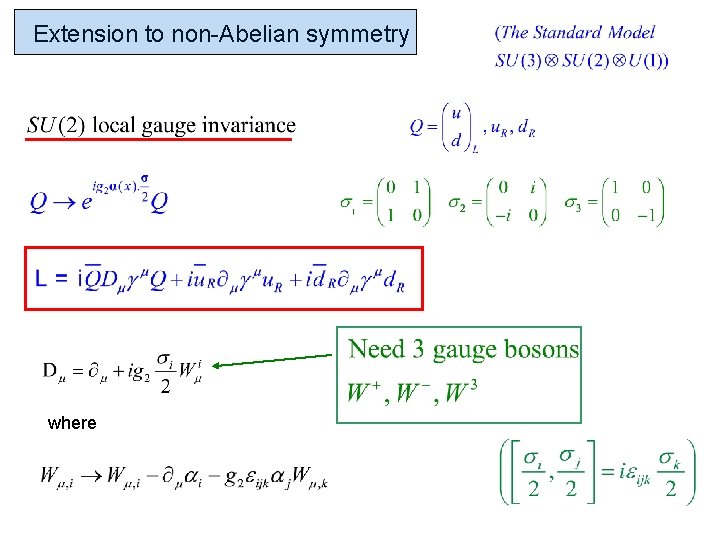 Extension to non-Abelian symmetry where 