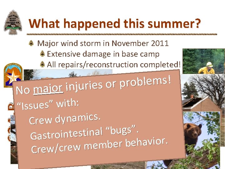 What happened this summer? Major wind storm in November 2011 Extensive damage in base