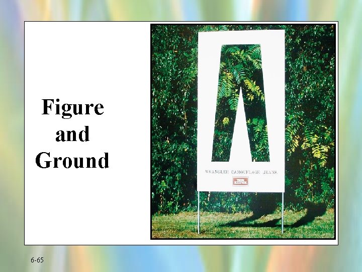Figure and Ground 6 -65 