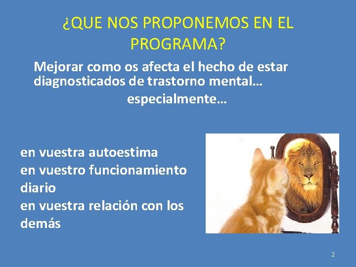 ¿QUE NOS PROPONEMOS EN EL PROGRAMA? Mejorar como os afecta el hecho de estar