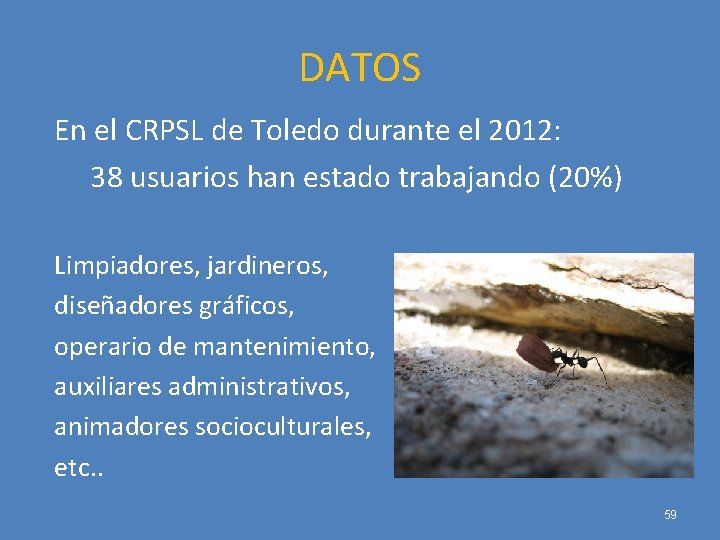 DATOS En el CRPSL de Toledo durante el 2012: 38 usuarios han estado trabajando