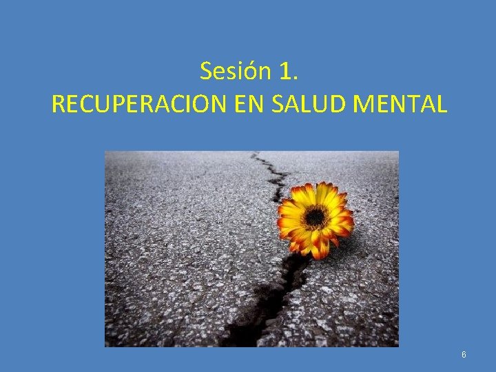 Sesión 1. RECUPERACION EN SALUD MENTAL 6 