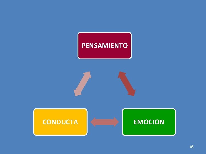 PENSAMIENTO CONDUCTA EMOCION 85 